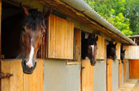 free Wood Walton stable construction quotes